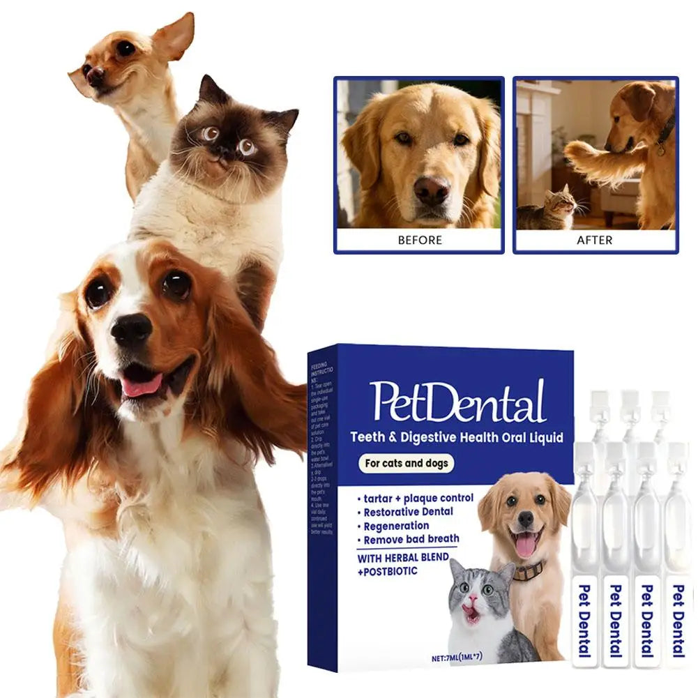 Solución Oral Cuidado Mascotas Ingredientes Herbales Suaves Salud Bucal Refrescante Cómoda Absorción Rápida Perros Gatos 100ml