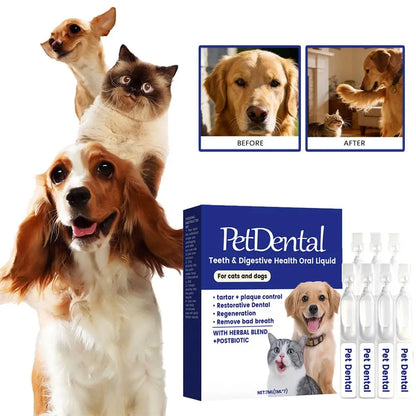Solución Oral Cuidado Mascotas Ingredientes Herbales Suaves Salud Bucal Refrescante Cómoda Absorción Rápida Perros Gatos 100ml