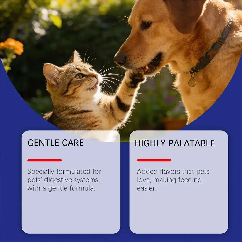 Solución Oral Cuidado Mascotas Ingredientes Herbales Suaves Salud Bucal Refrescante Cómoda Absorción Rápida Perros Gatos 100ml