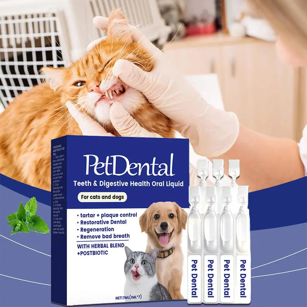 Solución Oral Cuidado Mascotas Ingredientes Herbales Suaves Salud Bucal Refrescante Cómoda Absorción Rápida Perros Gatos 100ml