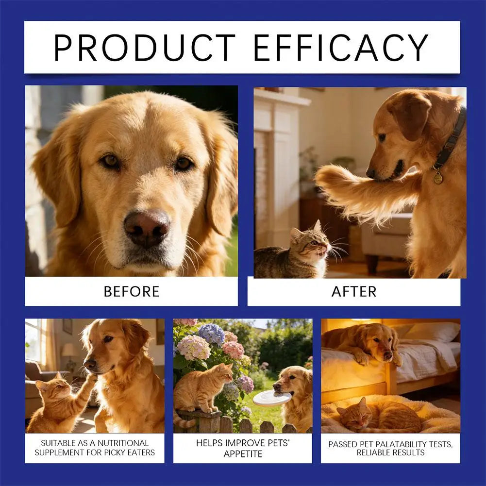 Solución Oral Cuidado Mascotas Ingredientes Herbales Suaves Salud Bucal Refrescante Cómoda Absorción Rápida Perros Gatos 100ml