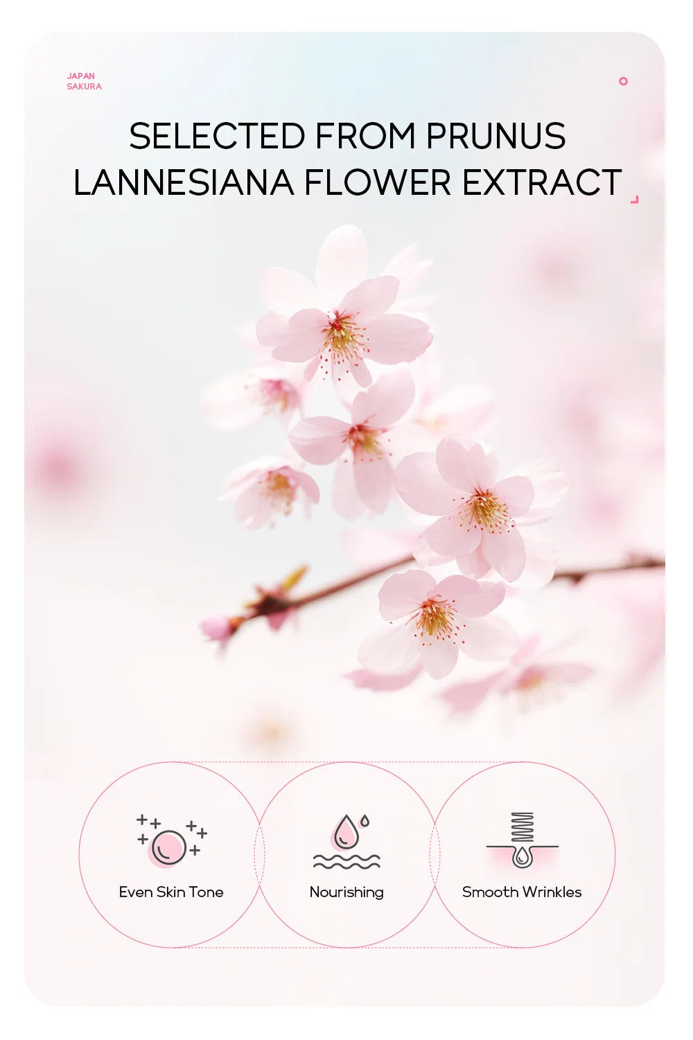 "Mascarilla Facial Peel-Off LAIKOU Oro 24K y Sakura: Antiarrugas, Aclarante y Quita Puntos Negros"