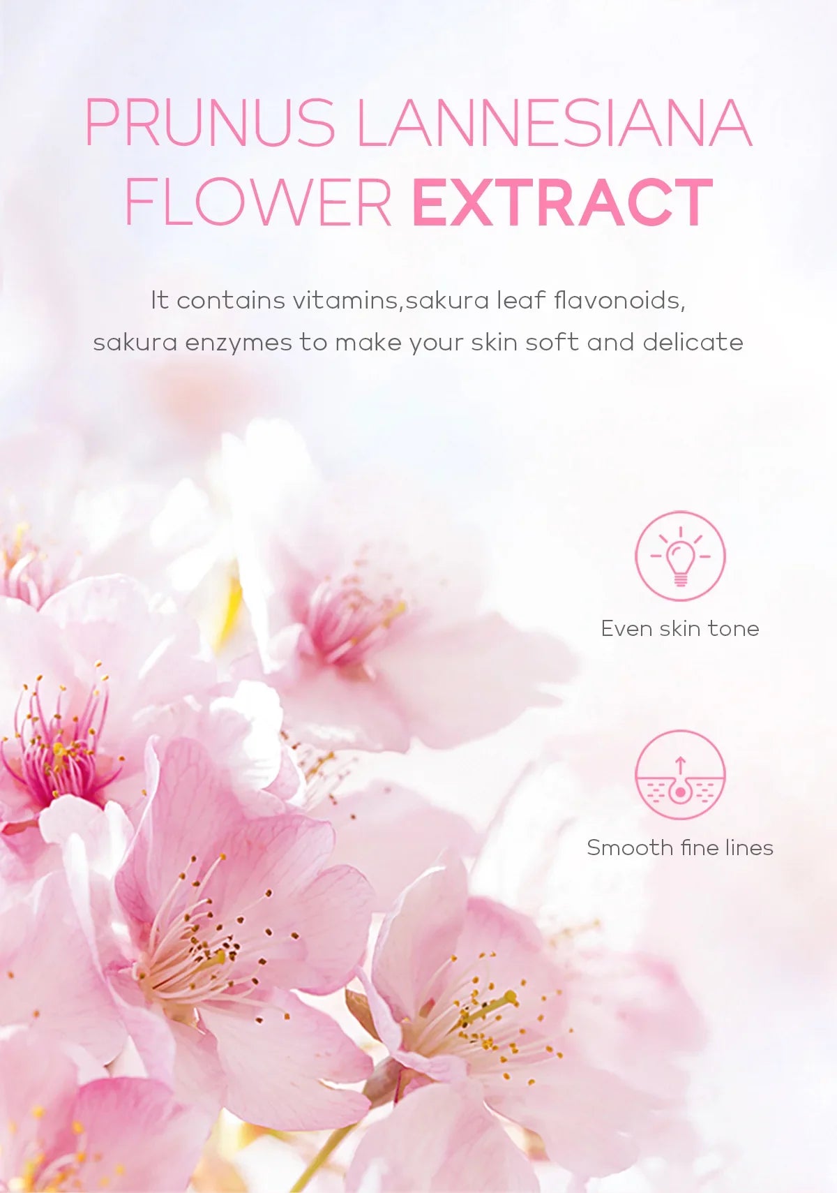 Gel Exfoliante Sakura Limpieza Profunda Rostro Blanqueador Hidratante Reparador Esfoliante Facial 60g | Cuidado Coreano